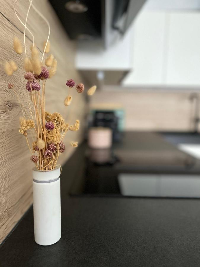 Vege City App Apartma Pula